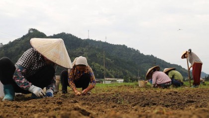 老农保29年后仅退200本金？社保公信力不能被破坏