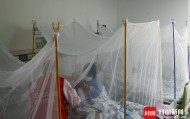 探访佛山基孔肯雅热定点医院：病床上加装了蚊帐，已有近300人治愈出院｜封面头条