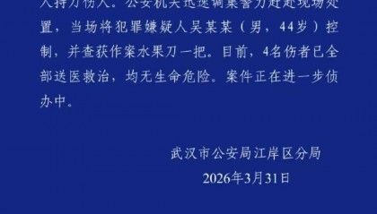 一男子在武汉街头持刀致4人受伤 警民齐心协力将其制服