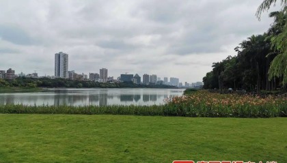事关南宁5个公园,这些区域不得开展歌唱活动!