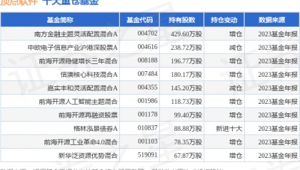 2月8日顶点软件涨10.01%，南方金融主题灵活配置混合A基金重仓该股