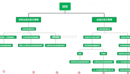 无须转换会籍!博主:塞鸟没为巴西踢官方赛事,提交材料只是保险