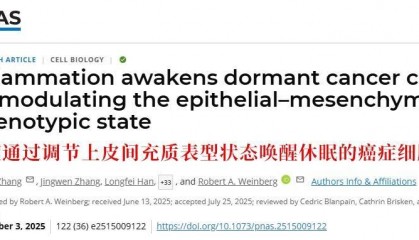 长期炎症会“唤醒”癌细胞!这份抗炎指南每个人都该看看