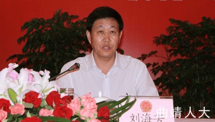 退休9年后，刘海芳主动投案