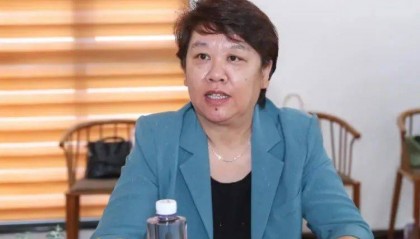 申淑娟，被查