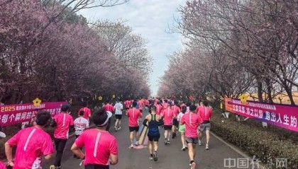 马拉松不能偏离专业规范的“赛道”