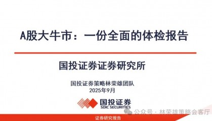 A股大牛市:一份全面的体检报告