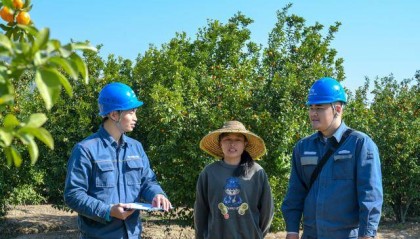 南方电网广东揭阳供电局：全力保供电 温暖迎新春