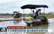 【新思想引领新征程】大力发展农业科技 奋力推进农业现代化