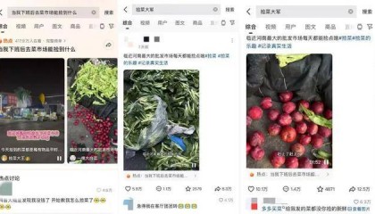河南最大批发市场现“捡菜大军”，年轻人扎堆捡“蔬果”，00后男子：品相差但能吃，也有人拍视频跟风