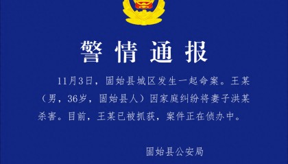 “女子去前夫家探望小孩被杀害？”河南警方通报