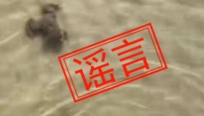 广西北海银滩景区辟谣： “近期北海银滩有人放生淡水龟、牛蛙”为不实信息