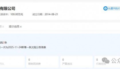 岳云鹏夫妇公司欠税14万元，被公告