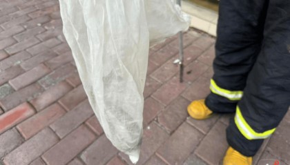 广州一小区蛇患频发:已抓超60条但未探测到蛇窝位置,多方介入