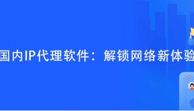 国内IP代理软件:解锁网络新体验
