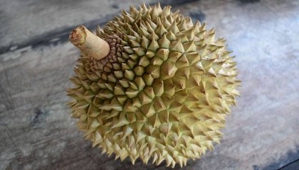 榴莲与杨梅哪个更易胖？赛乐赛告诉你每日吃多少