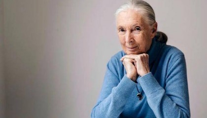 “课本上的传奇”,走了