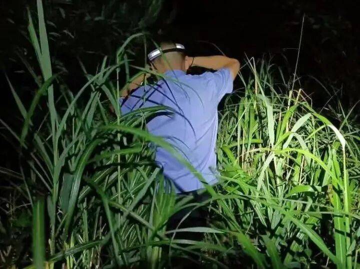 禁止任何形式穿越！杭州一地发布最严禁令