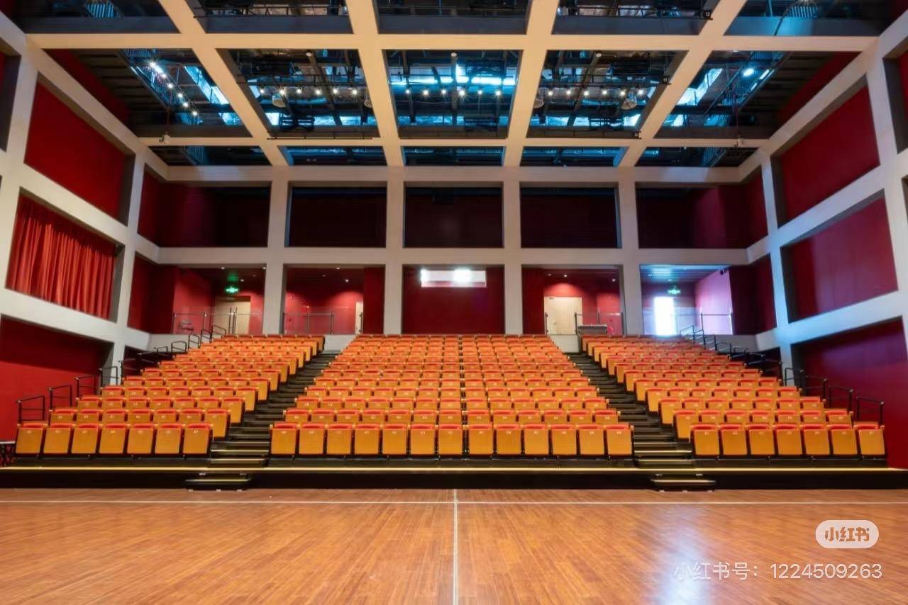 一乐队主唱被剧院电动座椅架挤压离世 有市民称该场馆内座椅系一体化设计，可折叠收上墙