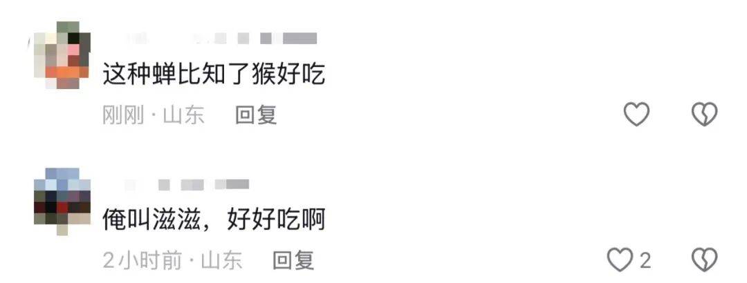 山东济南一广场突现“知了大军”密密麻麻，网友留言“你们咋不吃”