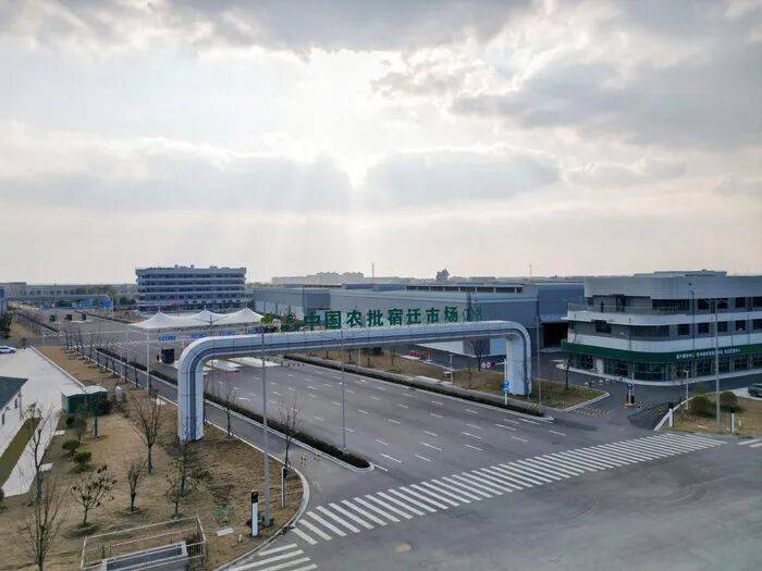 江苏多地市场：大白菜未检出甲醛，全面禁止河北康保县大白菜入场