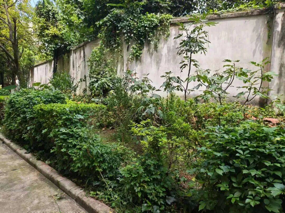 一睁眼天塌了！昆明一小区住户家中连续两天闯入剧毒银环蛇，“全家吓得不敢关灯睡觉”