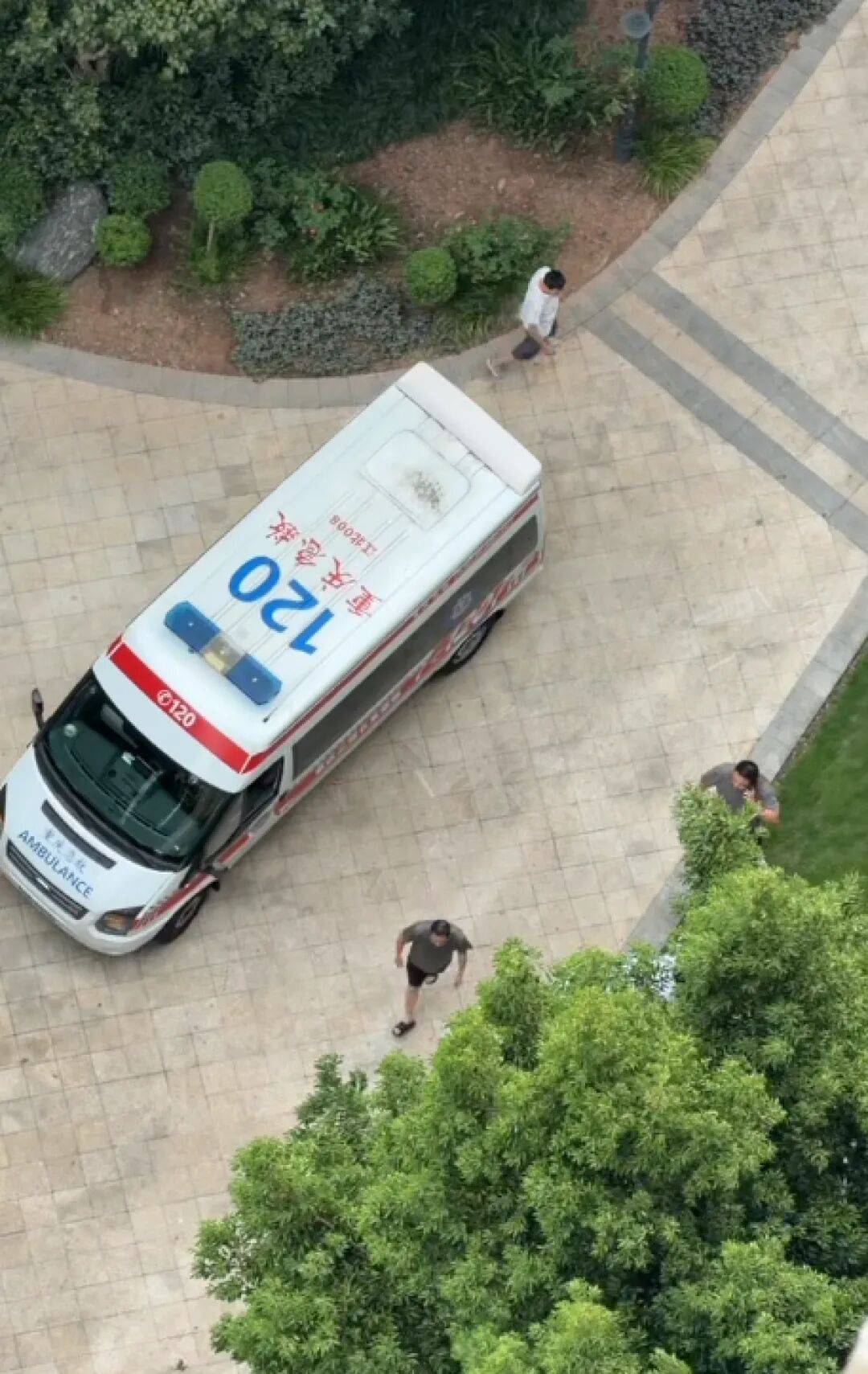 重庆2岁幼童从18楼坠亡，母亲称父亲把孩子独自留在家中去遛狗，父亲发声：我很愧疚