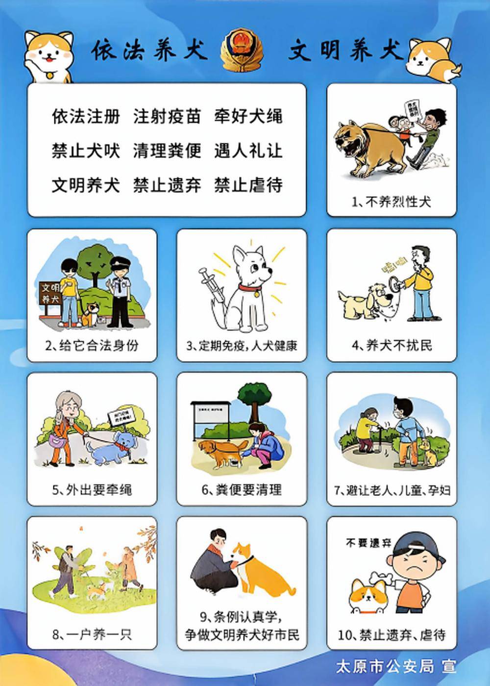 太原长风东街突发烈犬扑咬少年！违规饲养禁养犬种圣伯纳犬，犬主被行政拘留